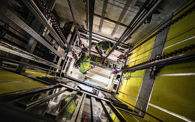 Bild